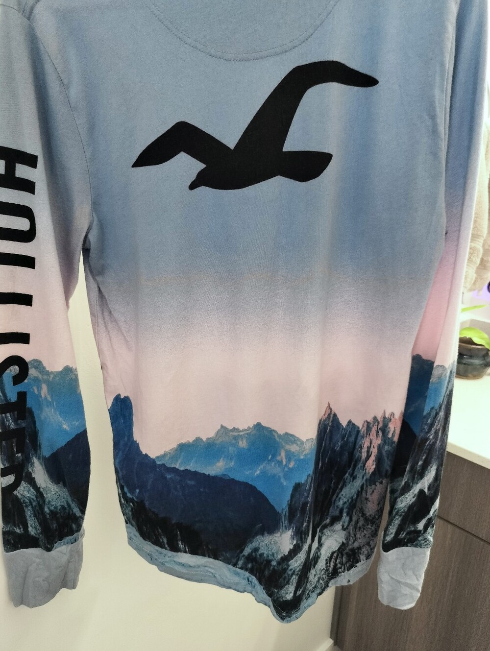 Hollister Men’s S Scenic Mountain Ombre Long Sleeve Graphic Tee Big Back Log - Picture 9 of 13
